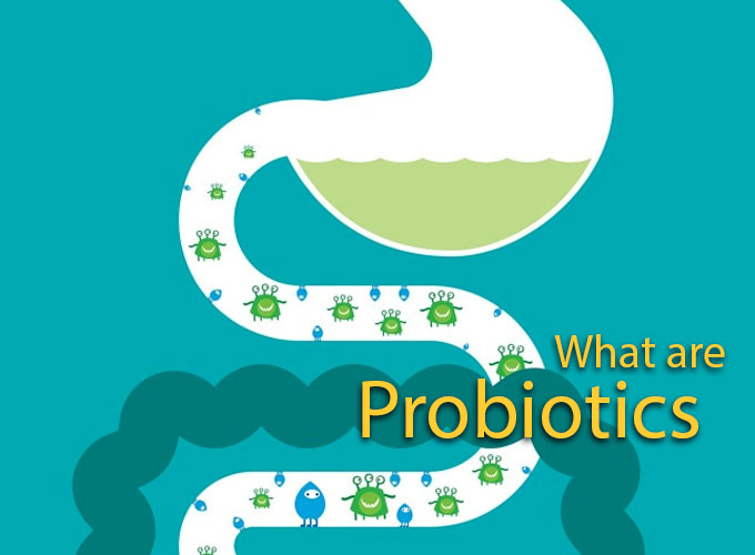 What are probiotics?